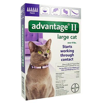 Advantage II for Cats - 6 months