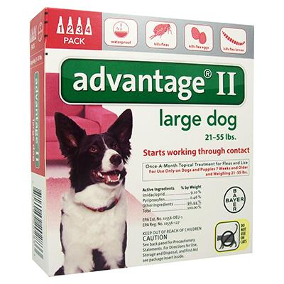 Advantage II for Dogs - 4 months - Image 3