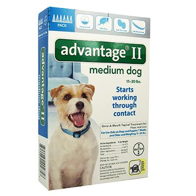 Advantage II for Dogs - 6 months - Image 2