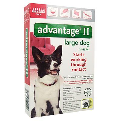 Advantage II for Dogs - 6 months - Image 3