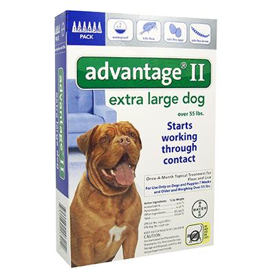 Advantage II for Dogs - 6 months - Image 4