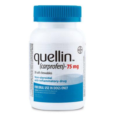 quellin (carprofen) soft chewable tablets (Rx) - Image 3