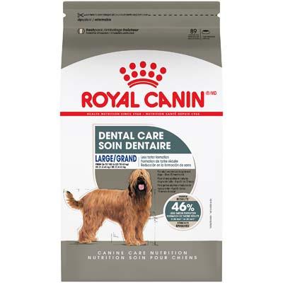 Royal Canin Canine Care Nutrition Adult Large Dental Care Dry Dog Food