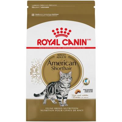 Royal Canin Feline Breed Nutrition American Shorthair Adult Dry Cat Food