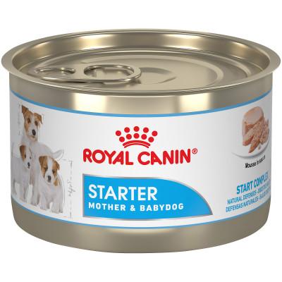 Royal Canin Size Health Nutrition Starter Mousse In Sauce Mother & Babydog Loaf in Sauce Canned Dog Food